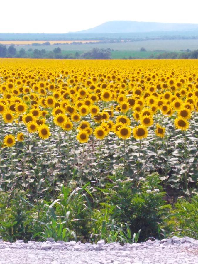 Sunflower Guest House Bulgaria Stefan Stambolovo Exterior foto