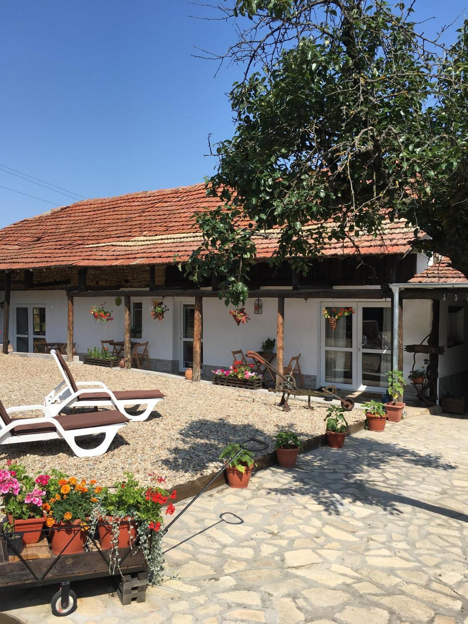 Sunflower Guest House Bulgaria Stefan Stambolovo Exterior foto