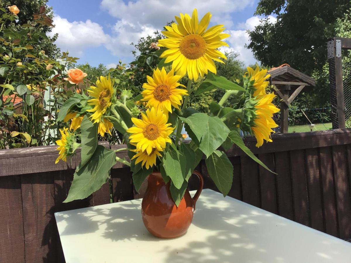 Sunflower Guest House Bulgaria Stefan Stambolovo Exterior foto